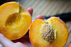 How to Make Nice Peach Slices, 3