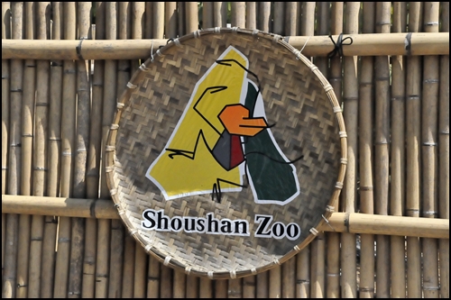 高雄「壽山動物園」－可愛的兒童牧場（4.1ys）