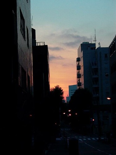 Hanzomon streetscape dawn