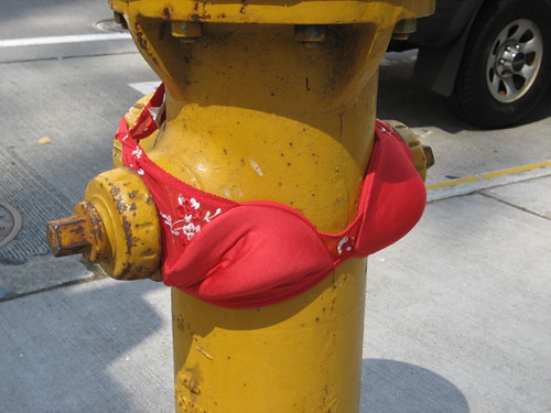 bra on hydrant.jpg