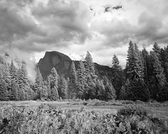 Valley Landscape with Half Dome (B&W)
