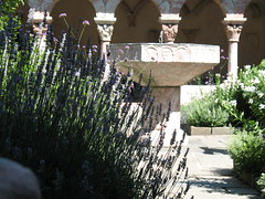 Lavender and Fountain: Cuxa Cloiser