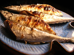 秋刀魚だね.jpg