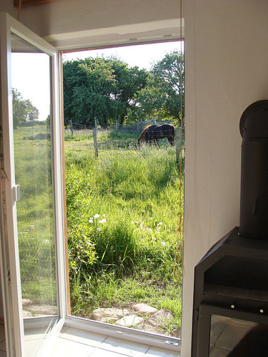 Blick aus dem Ferienhaus - Ausgang zur Pferdekoppel