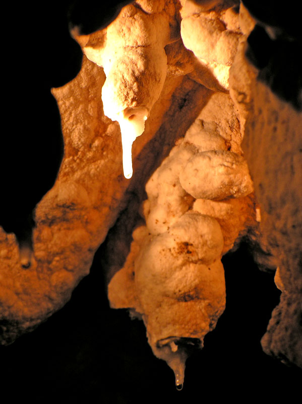 Straws found at Sierra Cave