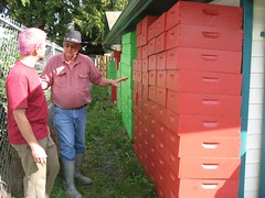 Beekeeping 2593
