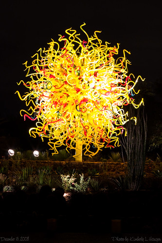 Chihuly_5845