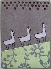 The wanderings of the llamas 3
