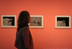 documenta 12 | Alina Szapocznikow / Fotorzezba | 1971 | Neue Galerie