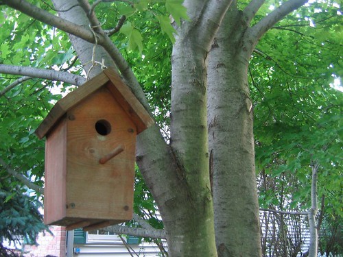 Mollie's Birdhouse
