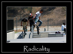 Radicality