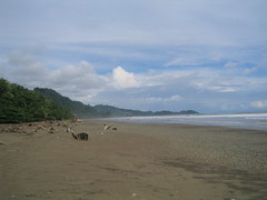Dominical Beach