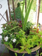 front step planter