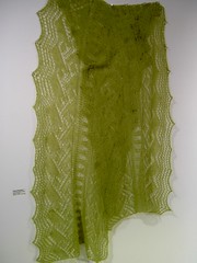 Jacqui's green shawl