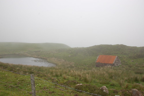 Misty Scottish morning
