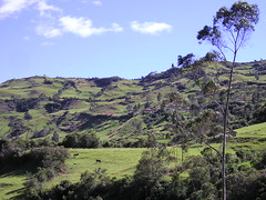 Southern Ecuador countryside