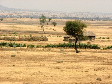 Masai houses
