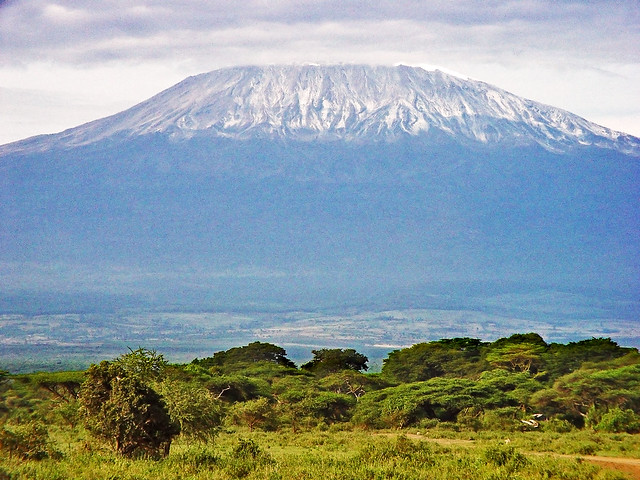 1205321832 a0d8ff7806 z Vaccinations for travel to Tanzania and ascent to Kilimanjaro