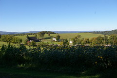 Farm landscape, Addison, Pennsylvania