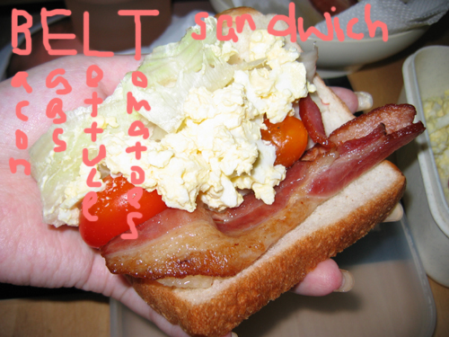 BELT sandwich