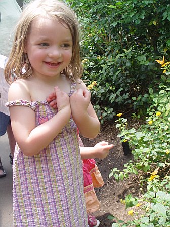 Peanut at the Butterfly Garden in the Bronx Zoo