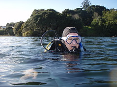 PADI Open Water Dive