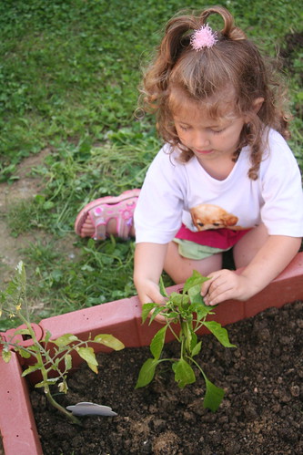 Montessori en famille, esprit Montessori, jardinage