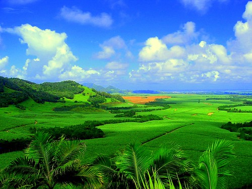 Ocean view: Green and blue paradise by Asadbabil (super busy).