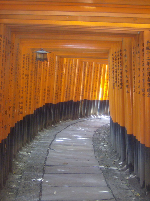 gates at fushimi inari