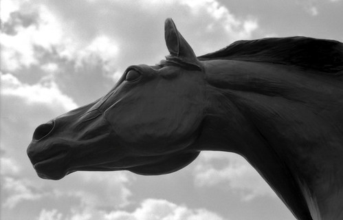 Sculpture for Peace Horse 1