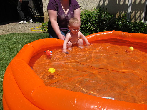 Lily's first time in a &quot;pool&quot;