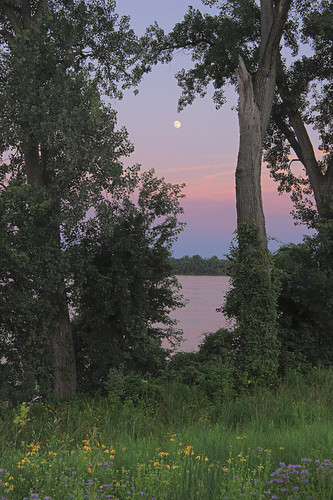 Moon rising over the Mississippi River, at Cliff Cave Park, in Oakville, Missouri, USA