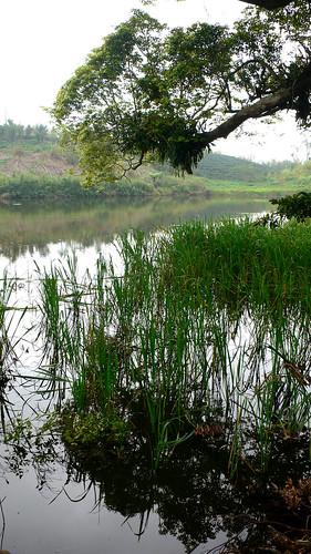 竹林湖