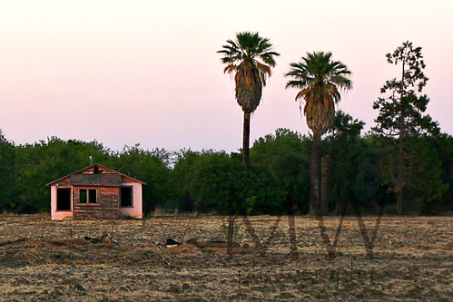 Pink house at sunset