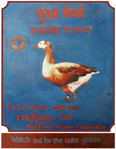 Beware the cute goose