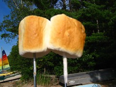 perfectly roasted marshmallows