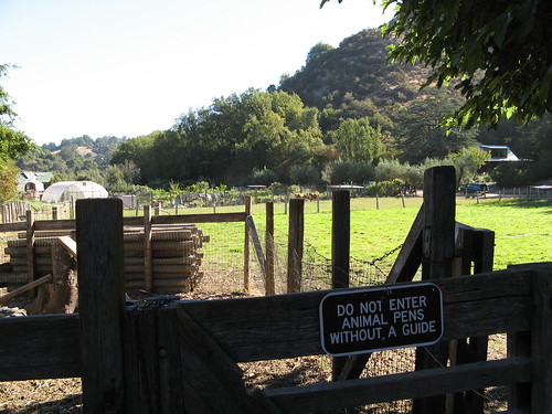 The farm's in a valley at the base of the hills