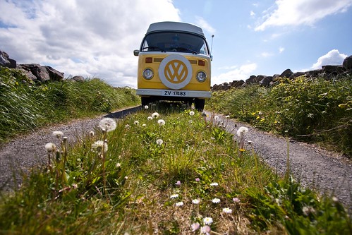 Daisy | Mini Tour of the Burren