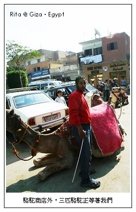 camel-pa