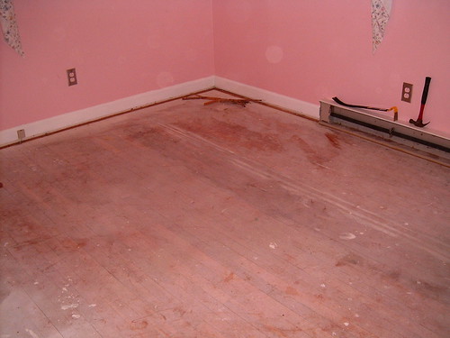 Bare Wood Floor With Staples Removed
