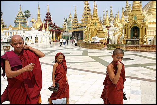Buddhist monks in the Shwedagon Pagoda of Yangon,  Burma por Helmut Schadt.