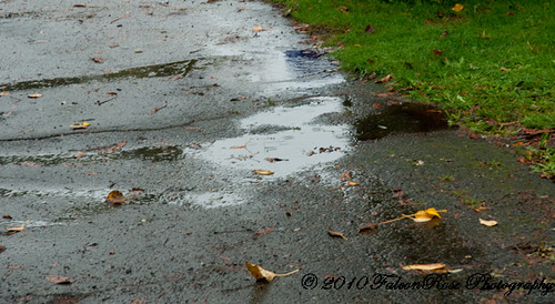 10-25-2010_puddles_rain_wm