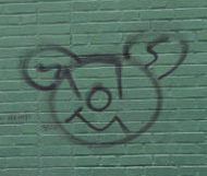 graffiti bear