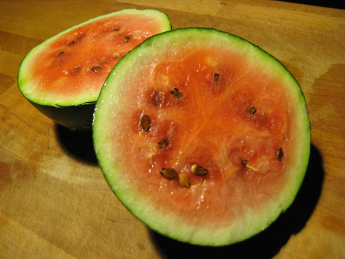 our one watermelon!