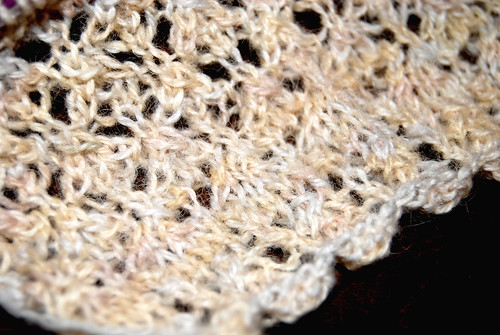Close-up of Lace