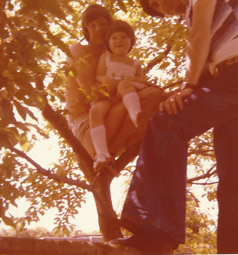 Up a tree with Uncle Steve and Dad - Copyright R.Weal 2010
