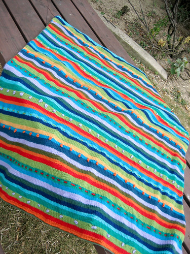 Wild Stripes Blanket