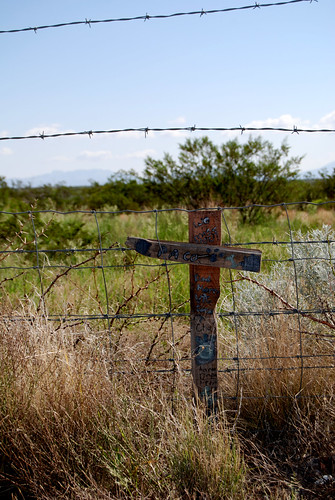 New Mexico Cross