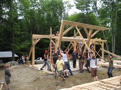 timber frame raising