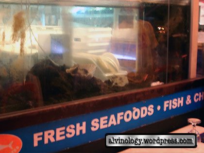 Fresh seafood